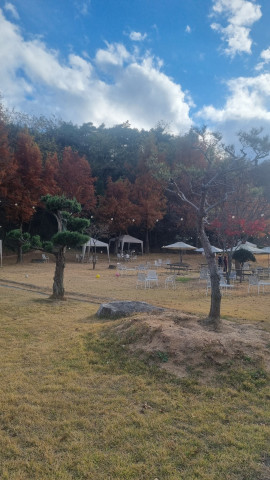 안동 뒤뜰카페 돈까스 맛집 임동 임하댐 근처 식당 추천