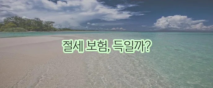 세금공제 보장을 위한 보험 상품 선택하기