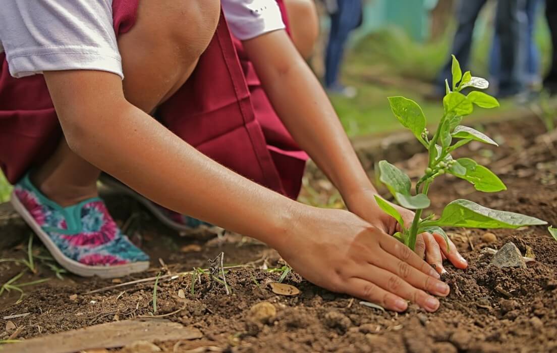 소녀가 나무를 심는 사진입니다.