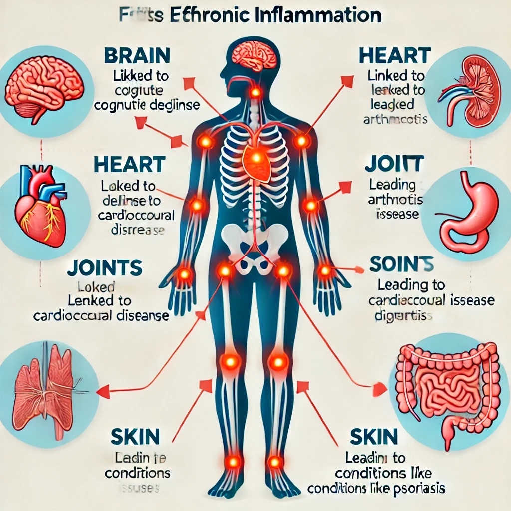 만성 염증이 인체에 미치는 영향을 설명하는 의료 인포그래픽