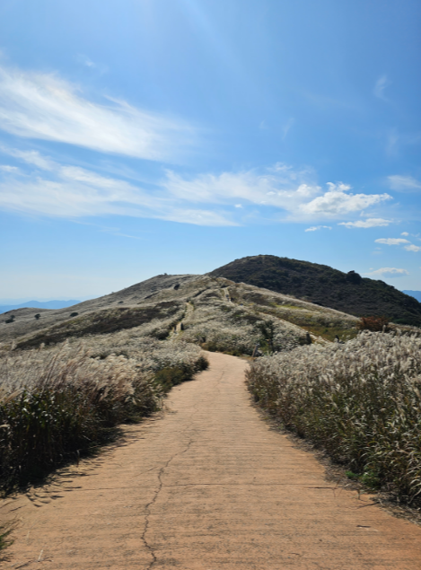 포천 산정호수 명성산 억새꽃축제