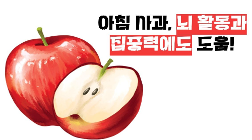 아침 사과 효능