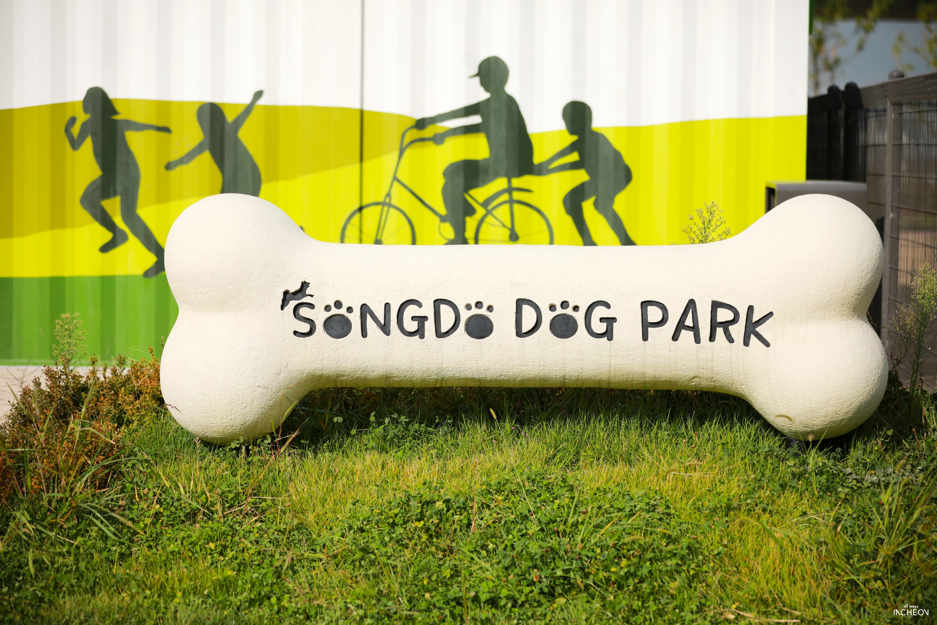 송도도그파크