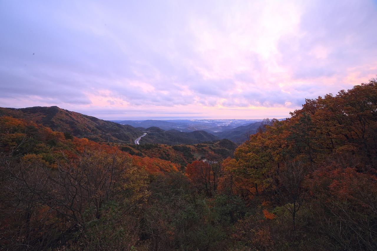 가을 단풍 명소