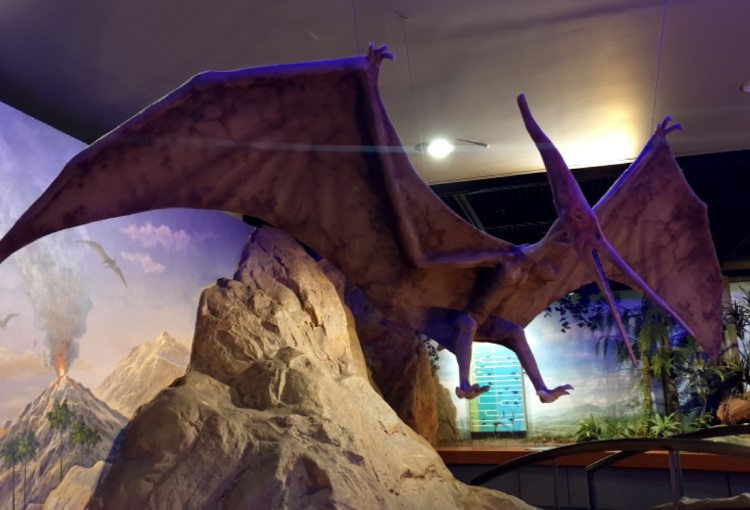 부천 자연생태공원