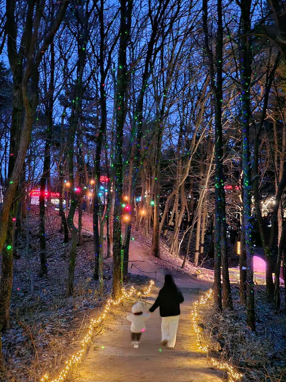 별빛정원우주 53