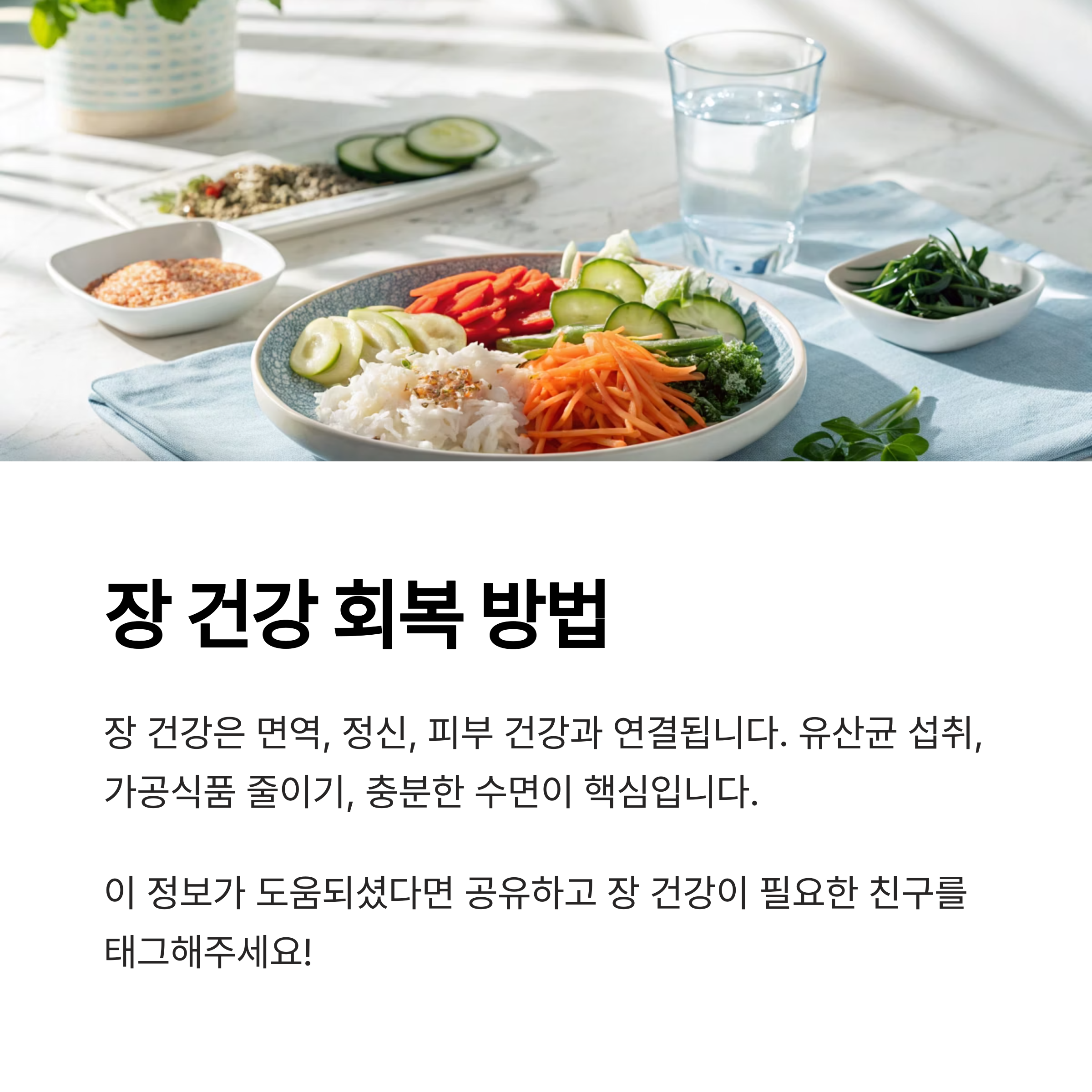 장 건강 회복 방법