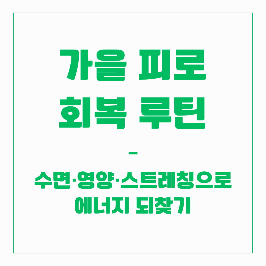 가을 피로 회복 루틴 – 수면·영양·스트레칭으로 에너지 되찾기
