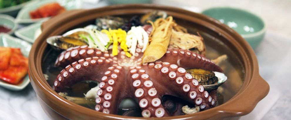 강진 수국축제