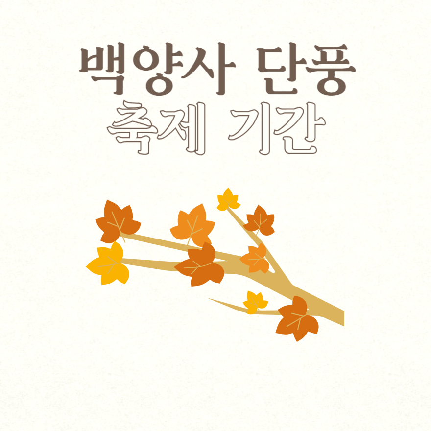 백양사 단풍 축제 기간