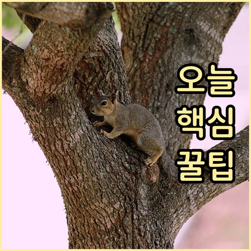 ESTA $21 인상! 여권 변경 시..