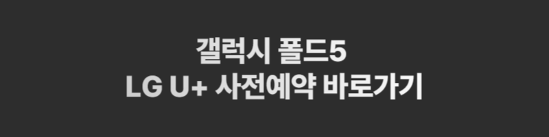 갤럭시 폴드 5