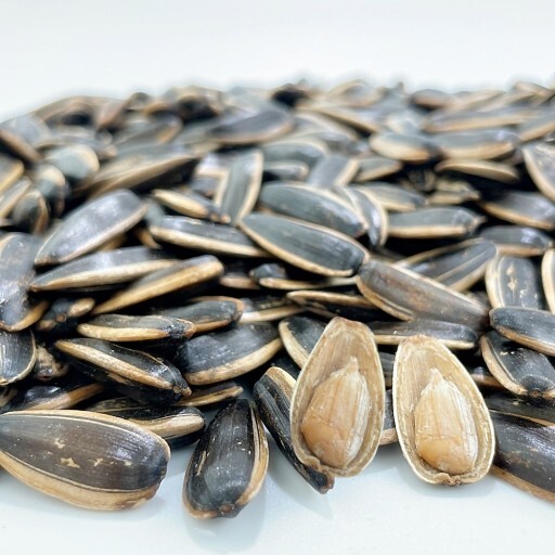 해바라기 씨의 효능