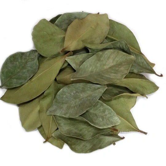 잘 말린 구아바잎