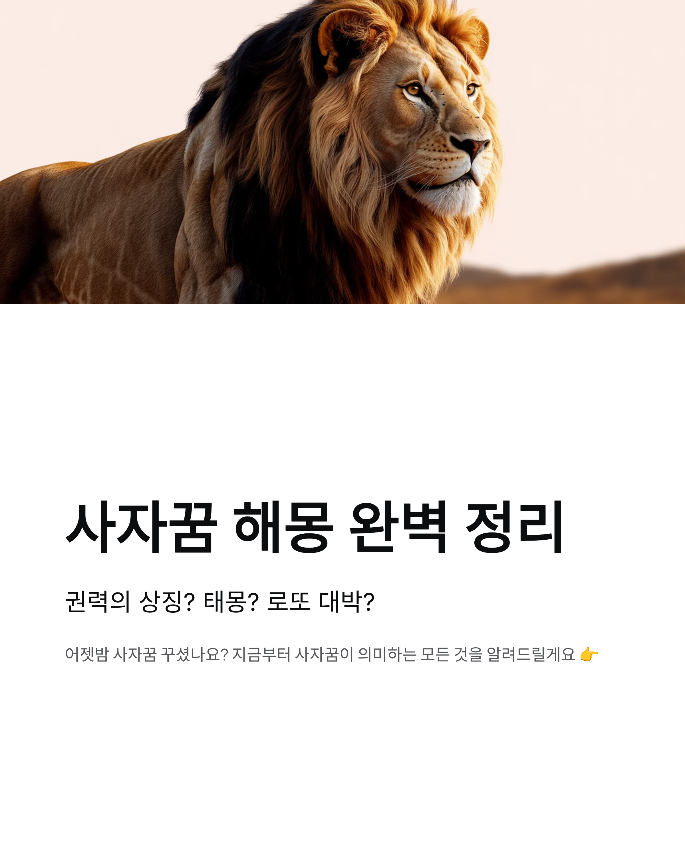 사자꿈 해몽 완벽 정리 - 권력의 상징? 태몽? 로또 대박?