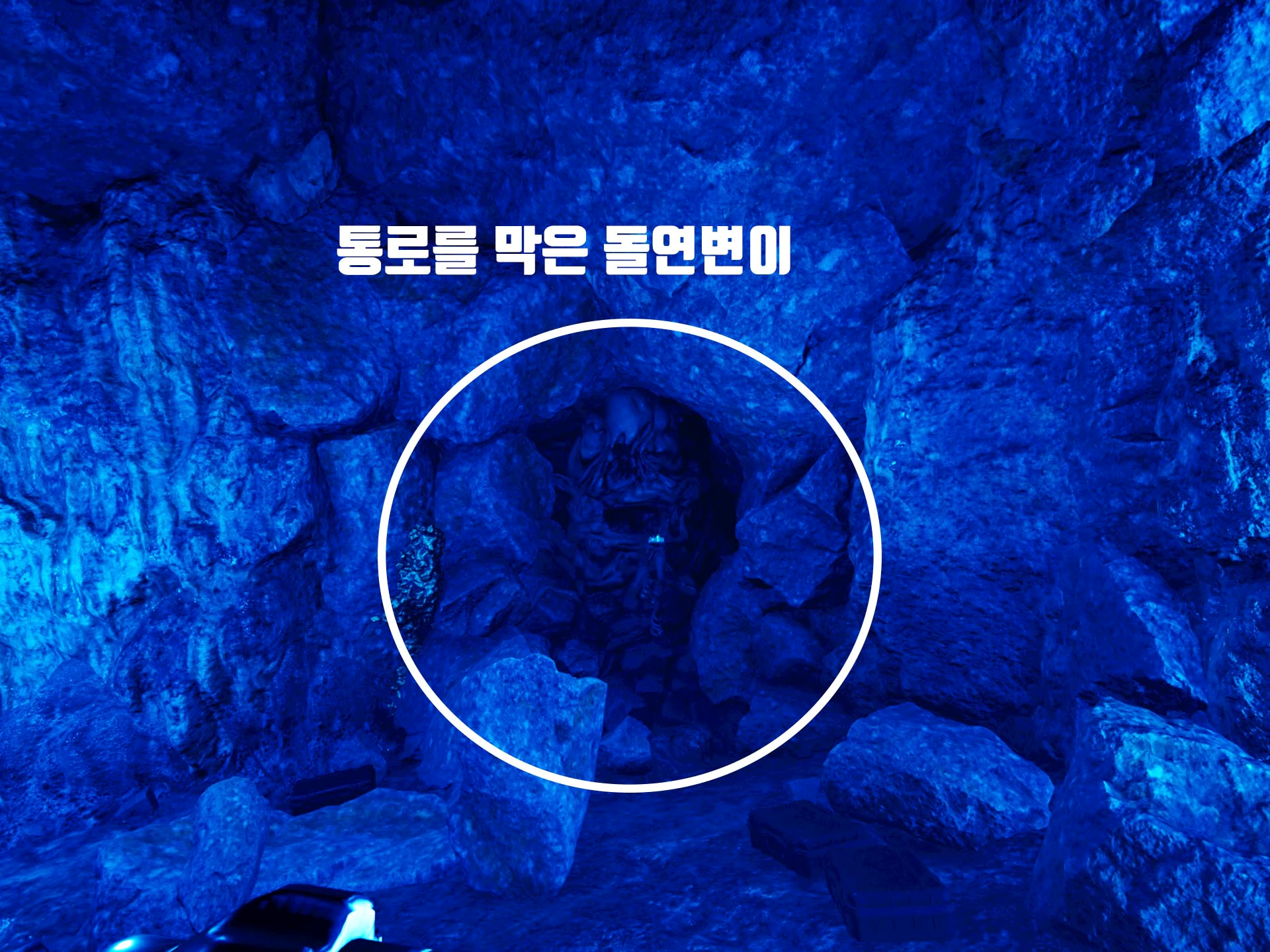 통로를 막고 있는 돌연변이 슬러기