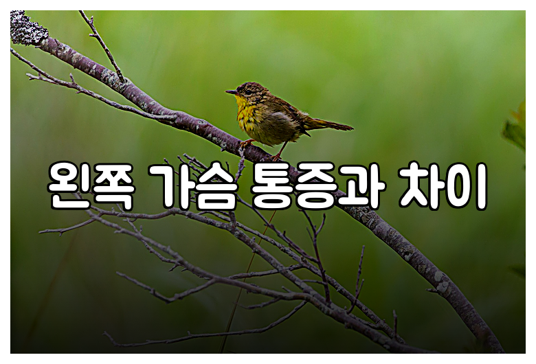 왼쪽 가슴 통증과 차이