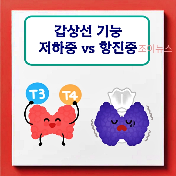 갑상선 기능 항진증, 저하증을 알기 쉽게 비교 분석해보자!