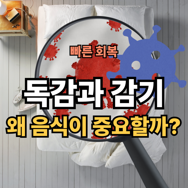 🤧 독감&middot;감기에 좋은 음식 추천! 빠른 회복을 돕는 식단 가이드