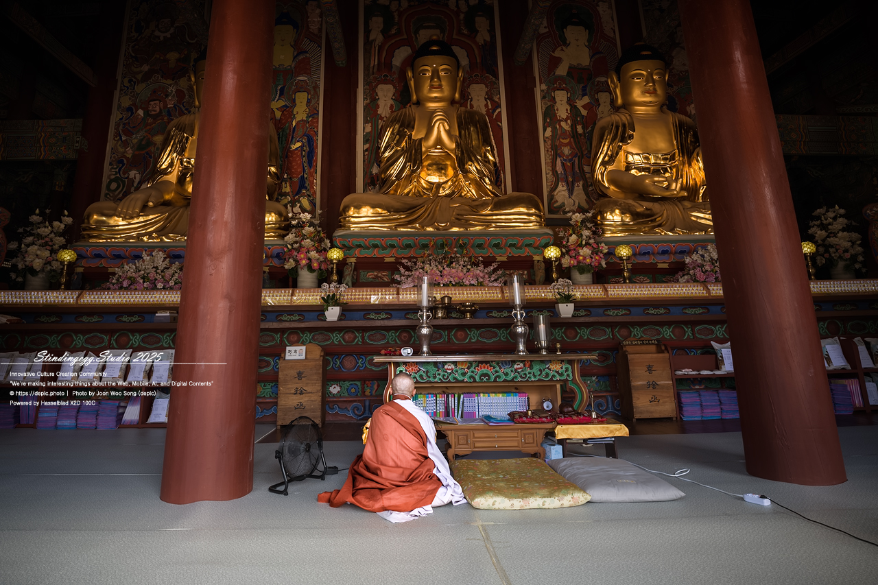 #보은 #법주사 #속리산 #스님 #승려 #불교