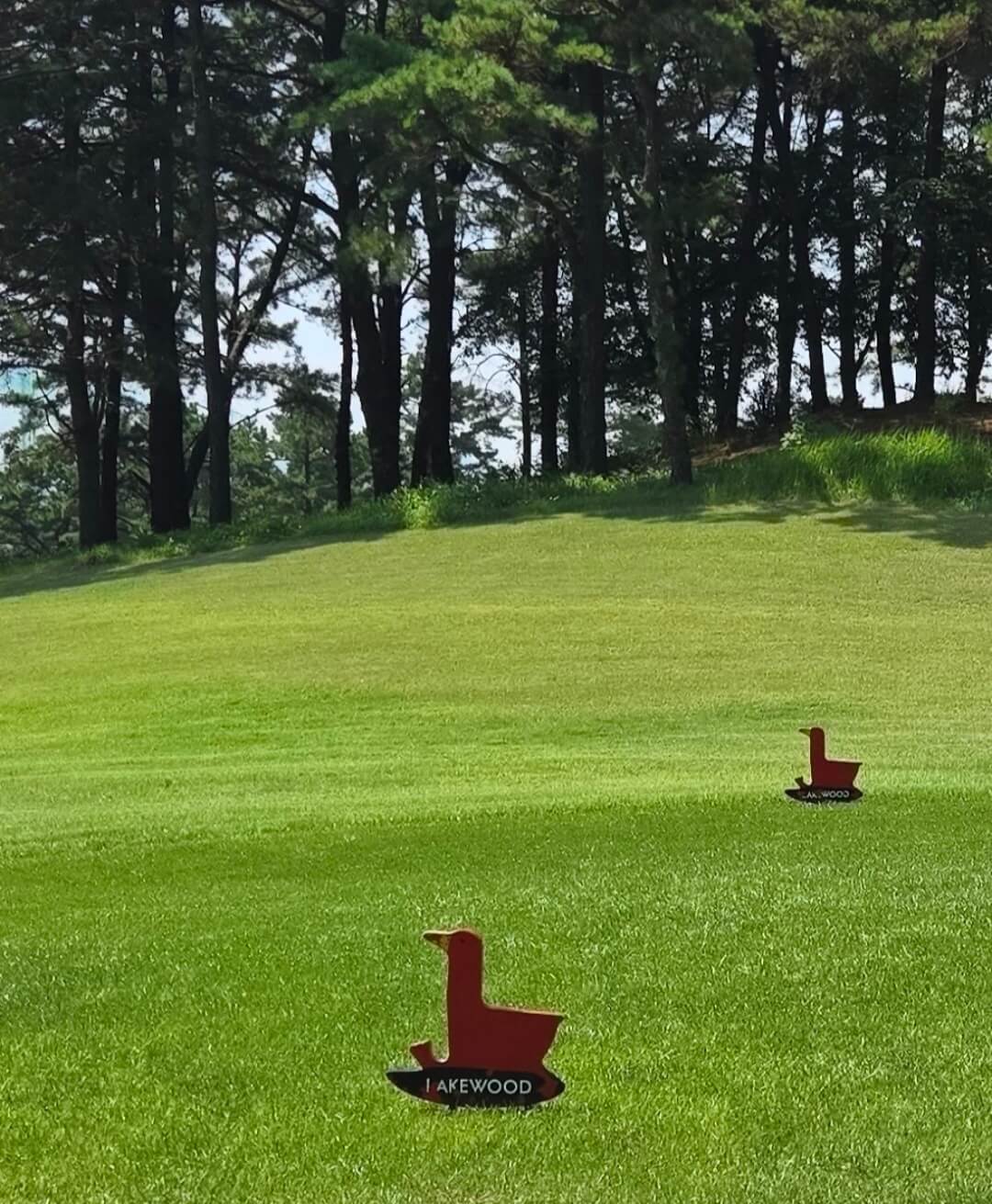 레이크우드CC 오리조형물 티박스