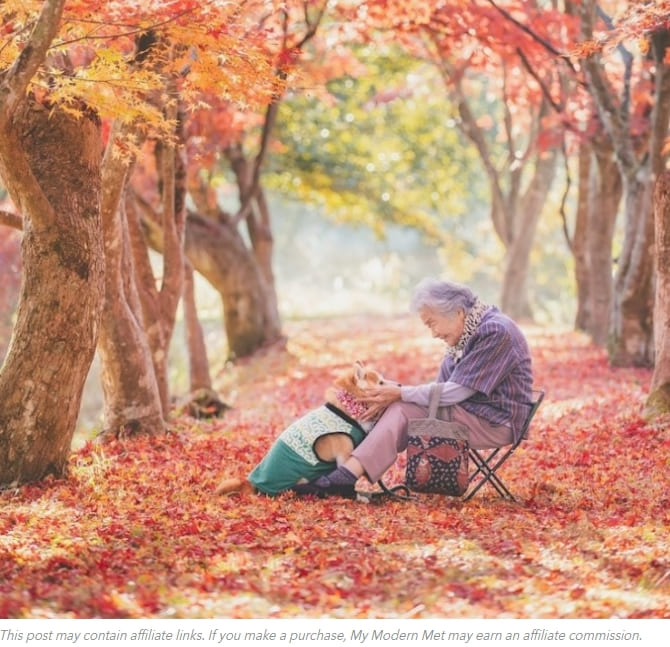 일본 사진작가의 특별한 유대감 Photographer Captures a Heartwarming Moment Between His Grandmother and Her Dog