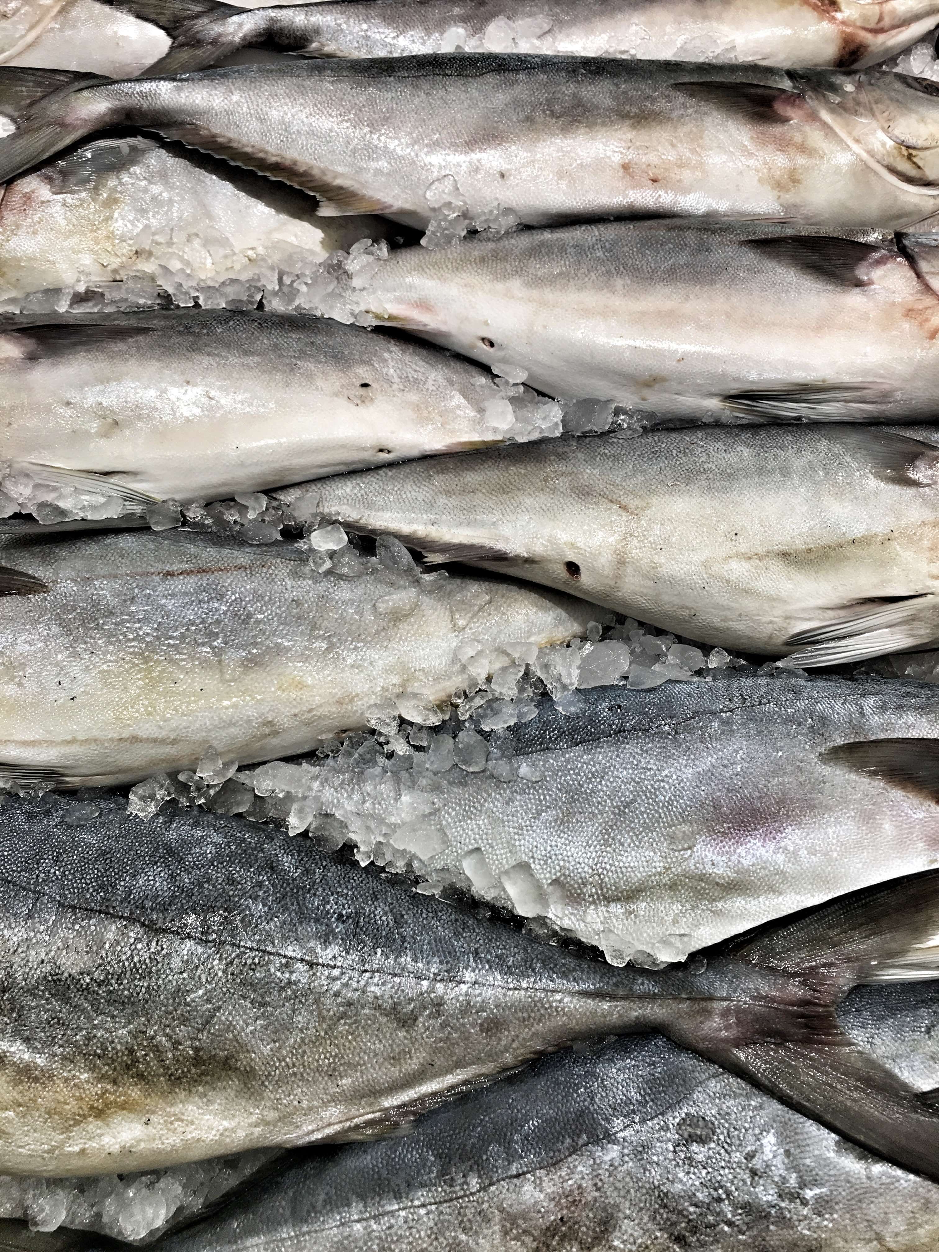 면연력 저하 증상