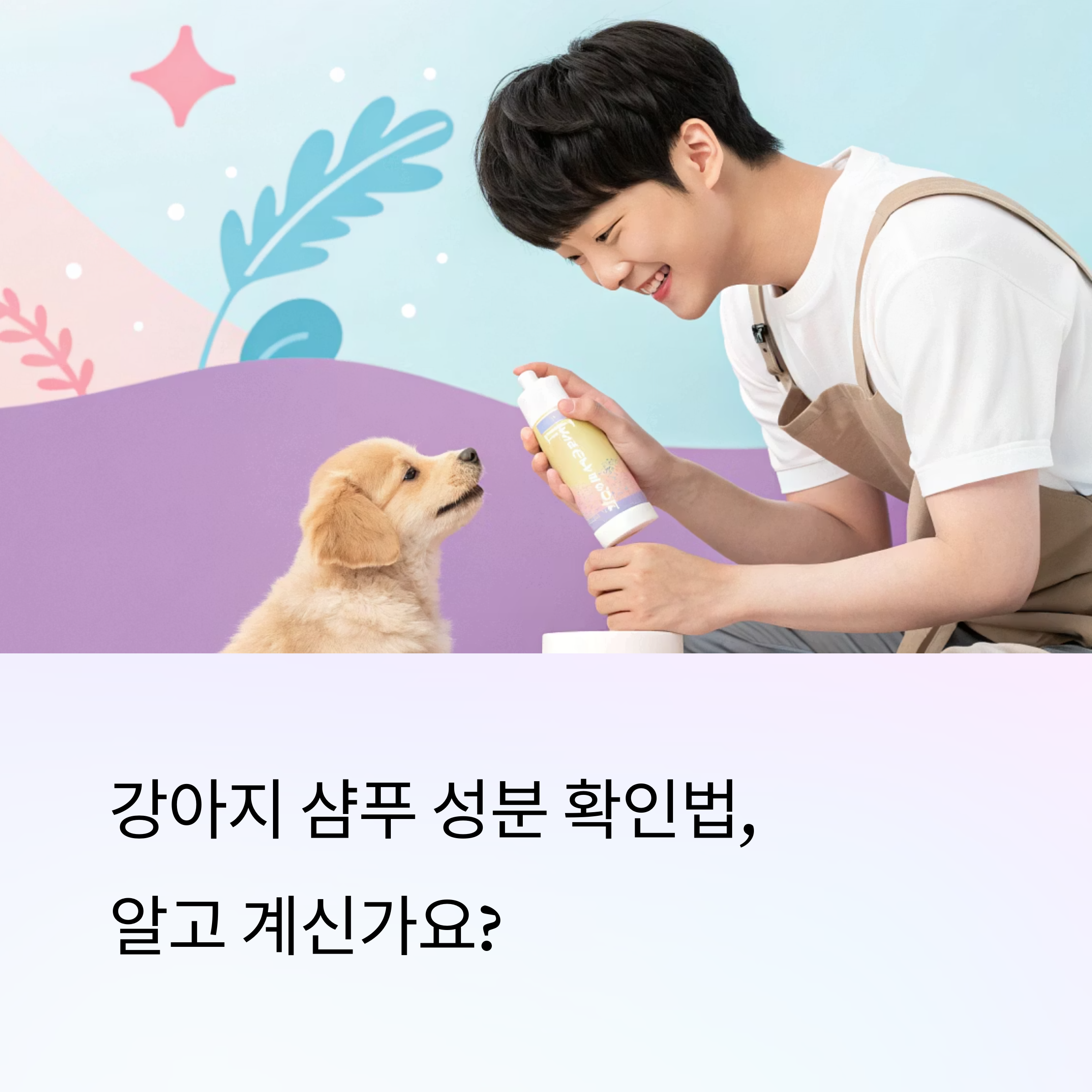 강아지 샴푸, 어떤 걸 확인해야 할까?