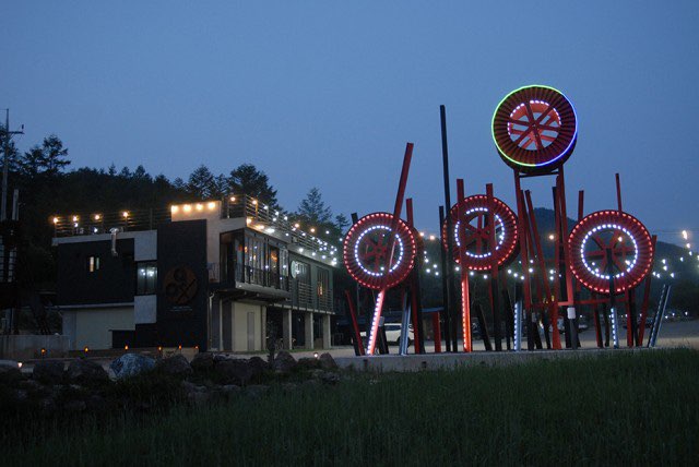 태백 해바라기축제