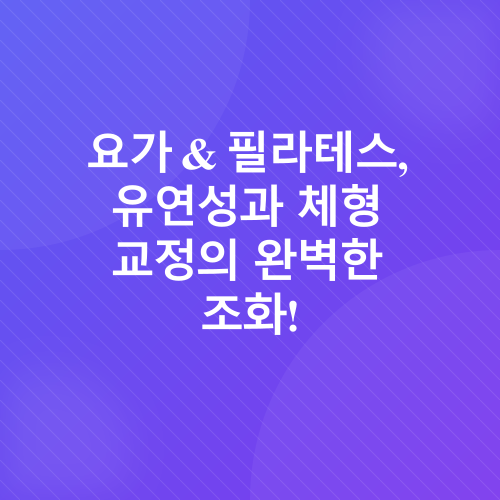 홈트레이닝 장비 추천_3