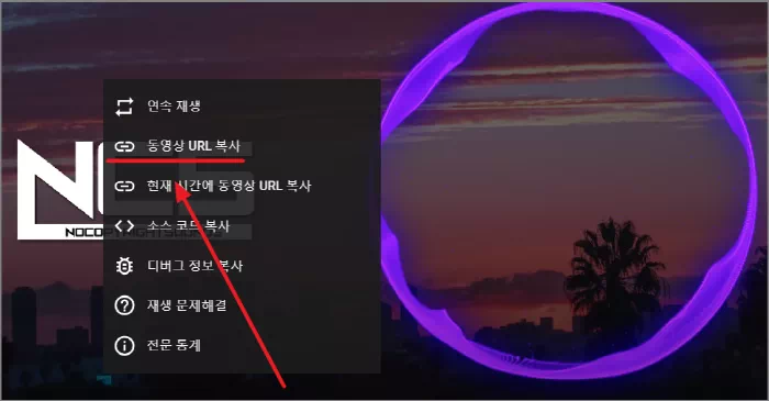 동영상 URL 복사