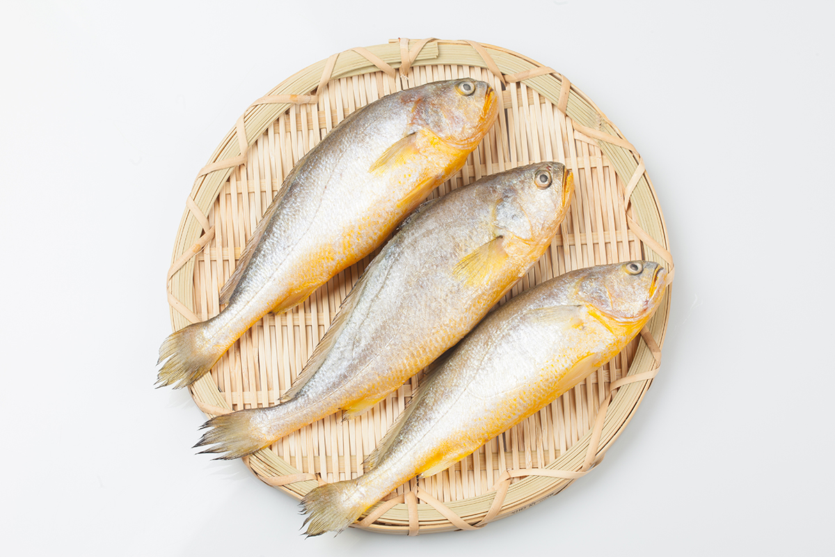 민어는 8월과 9월이 산란기이며 6월과 7월에 살이 가장 오르고 기름집니다. 가격이 비싼 생선으로 한 마리를 사면 버릴 게 하나도 없는 생선