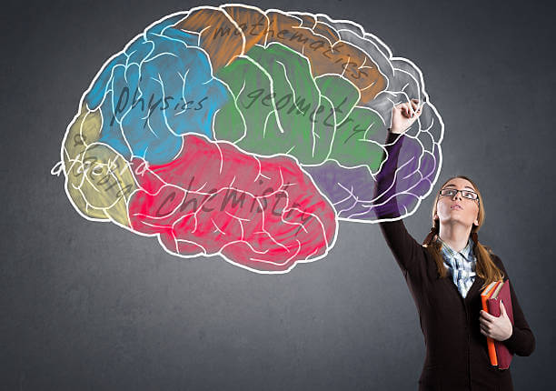 미술 치료란? 기본 개념과 효과