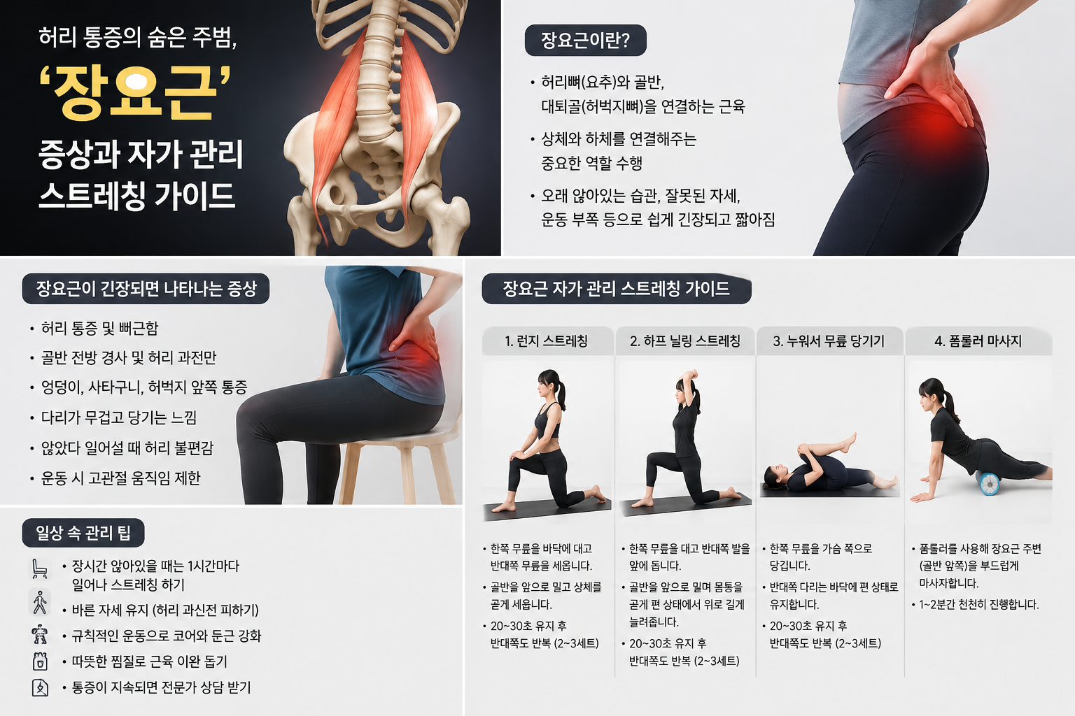 허리 통증의 숨은 주범, '장요근' 증상과 자가 관리 스트레칭 가이드