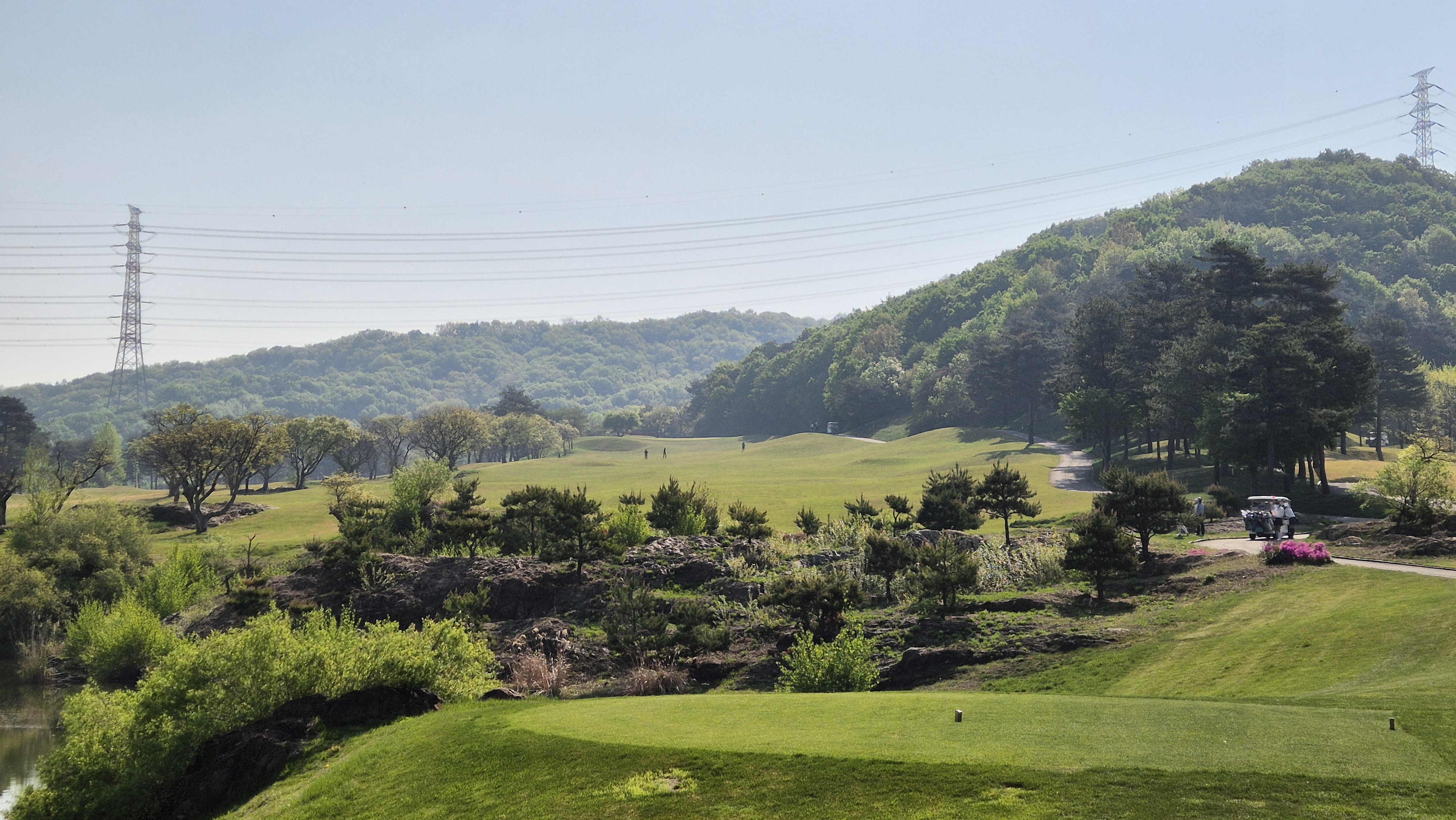 마에스트로cc 코스