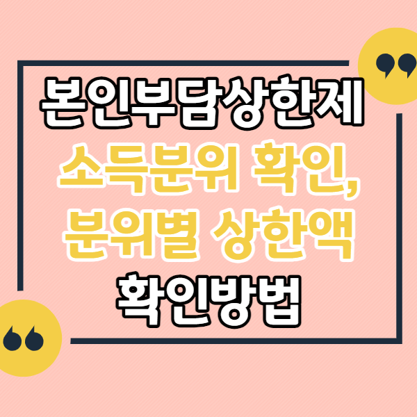 본인부담상한제-소득분위-확인방법