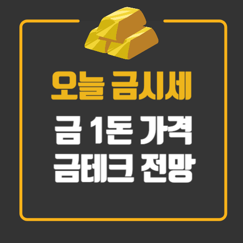 오늘의 금 시세 금가격 확인