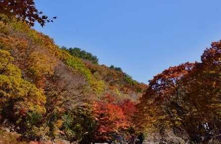 한라산 국립공원