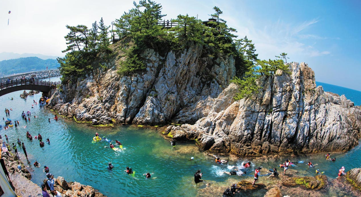 장호항 관련 홍보 사진