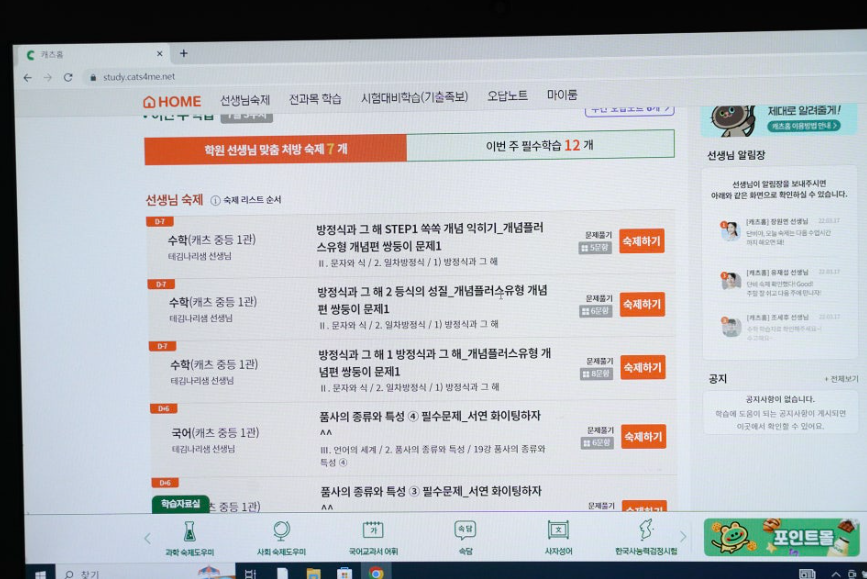 캐츠홈 사용자 내돈내산 후기