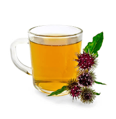 우엉차 효능 10가지 및 부작용