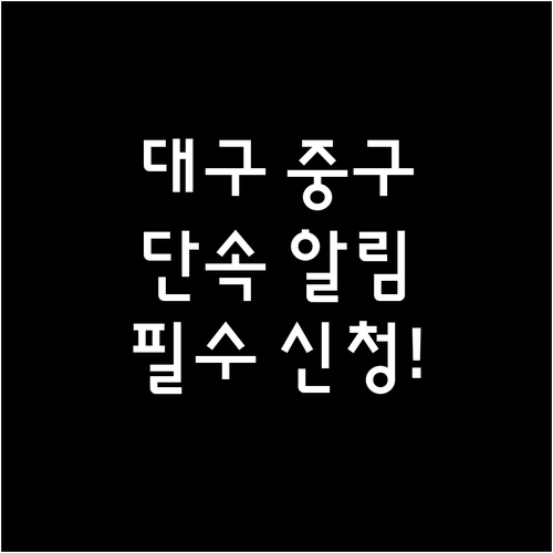 대구 중구 주정차 단속 알림 서비스 ..