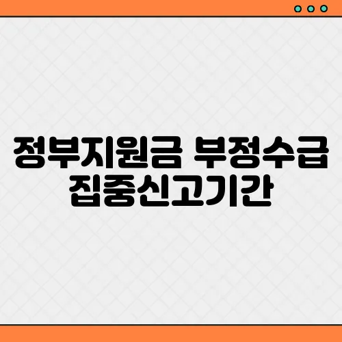 정부지원금 부정수급 집중신고기간, 신고 가이드 안내