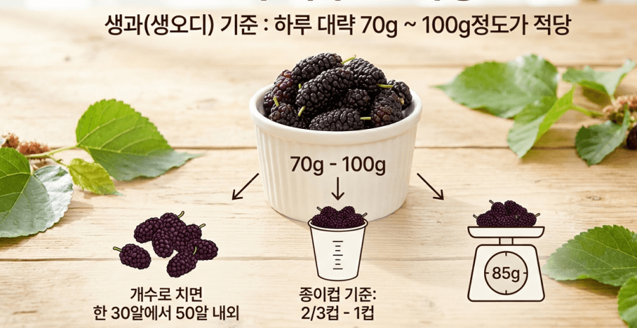 오디 하루 섭취량