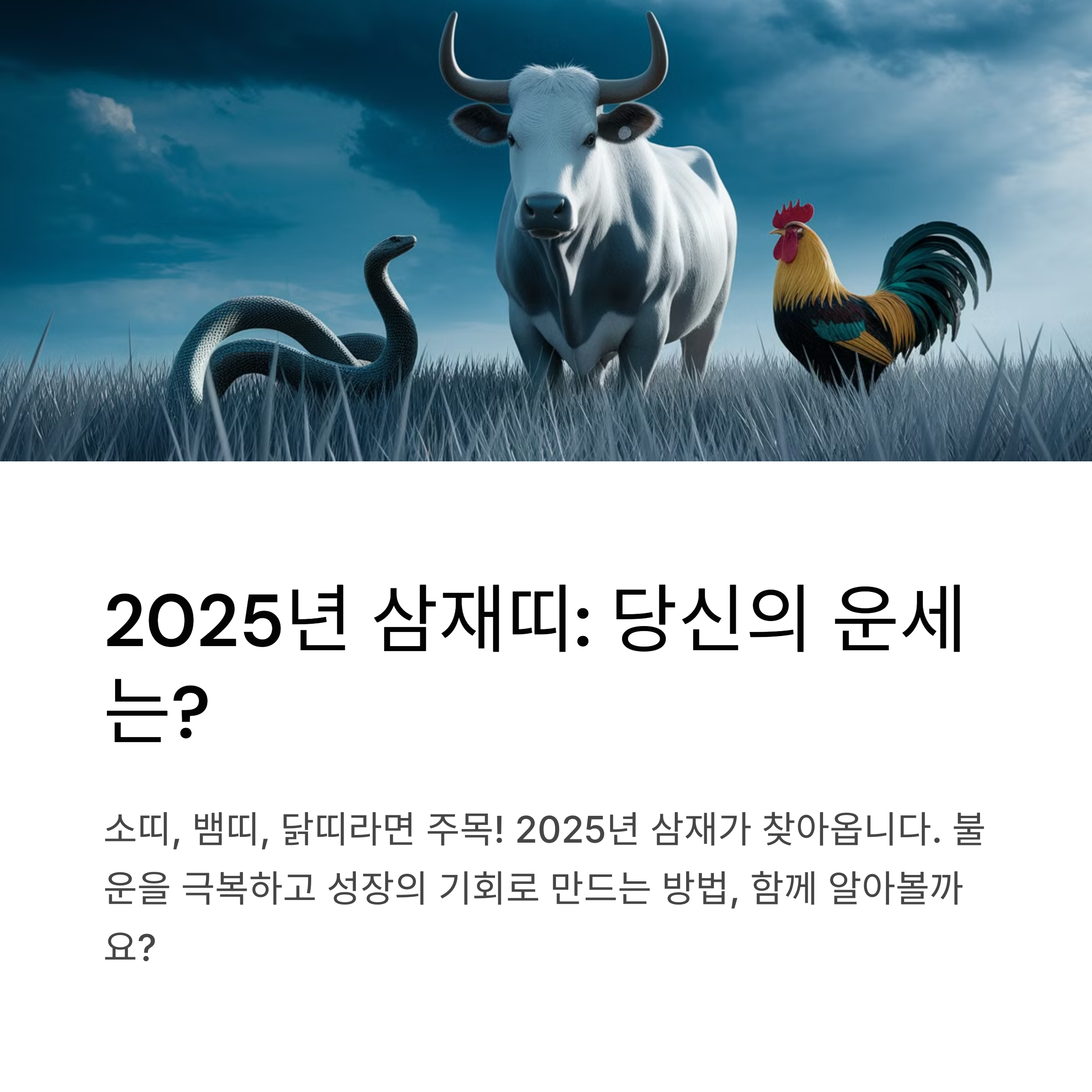 2025년 삼재, 내 띠도 포함될까? 운세와 극복 방법
