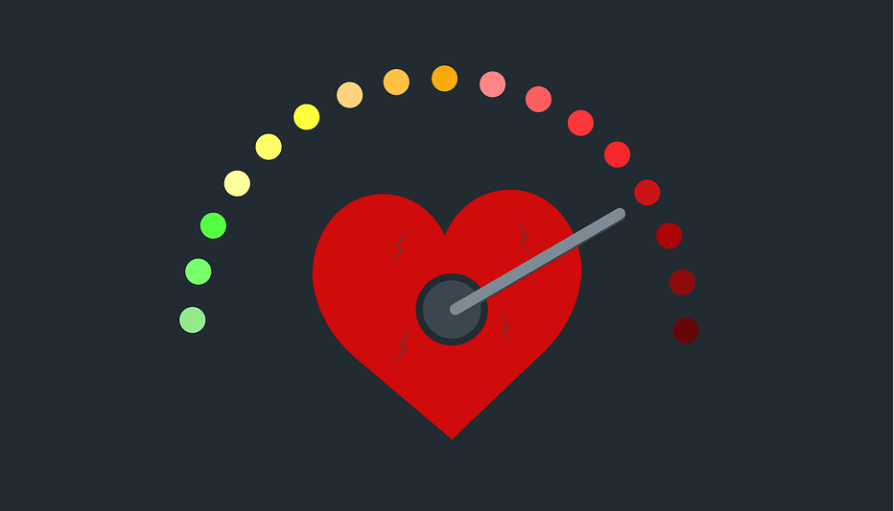 삼채 효능은 혈관 건가에 도움이 된다 하트로 수치를 표시한 그래프