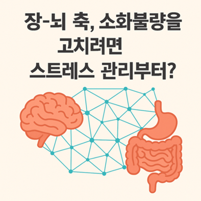 장-뇌 축, 소화불량을 고치려면 스트레스 관리부터?