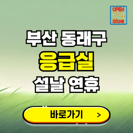 부산 동래구 설날 연휴 비상진료 응급실 병원 찾기 ❘ 내근처 24시 야간 심야 휴일 가능한 곳