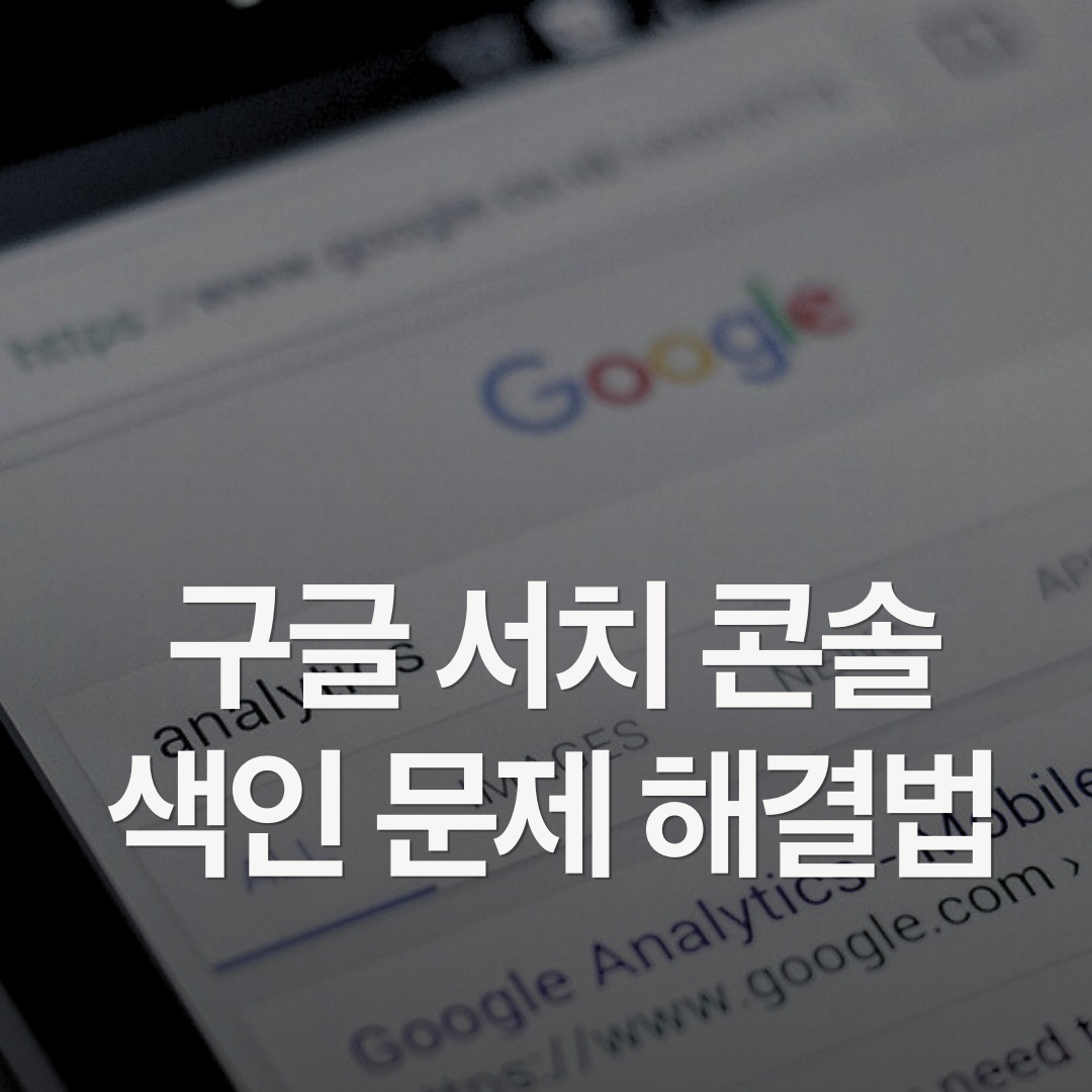 구글 서치 콘솔 색인 문제 해결법