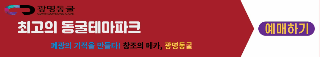 광명동굴 입장료 할인 방법 주차 꿀팁!